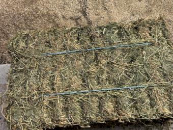 2000 x Lucerne Hay Small Square Bales
