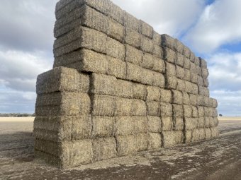 232 bales Wheaten Straw