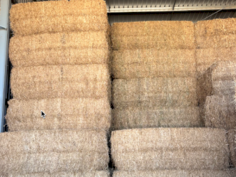 12 x Vetch Hay 670kg 8x4x3 Bales