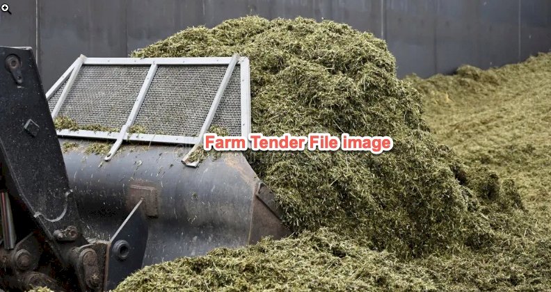 250 mt Maize Pit silage