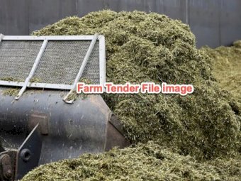 250 mt Maize Pit silage