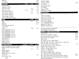 120mt Canola Hay 500kg 8x4x3 Bales