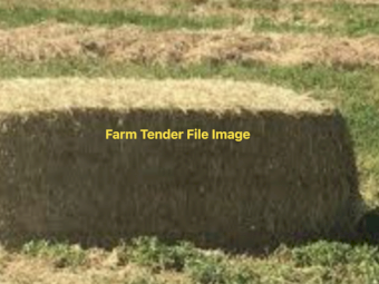 Quality Clover and Rye Hay