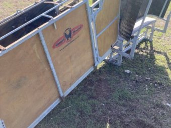 Combi Clamp Sheep Handler