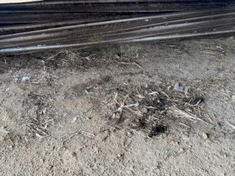 Massey Ferguson 1345 Mower Conditioner