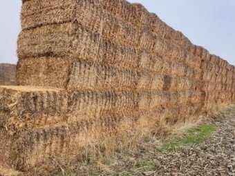 230mt Oaten Straw 500kg 8x4x3 Bales