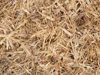 230mt Oaten Straw 500kg 8x4x3 Bales