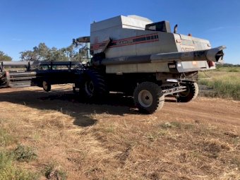 Gleaner R62 Header With Macdon 960 Front With Bat Reel