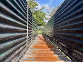 Clipex 8Mtr Sheep Loading Ramp