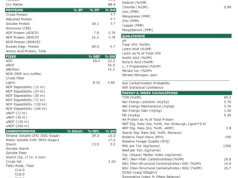 250mt Wheaten Hay 650kg 8x4x3 Bales