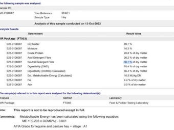 280mt Vetch Hay 600kg 8x4x3 Bales
