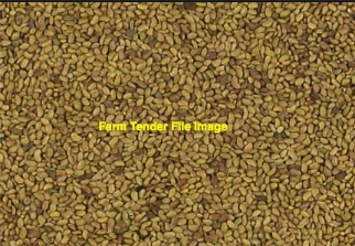 12MT Matador Wheat Seed