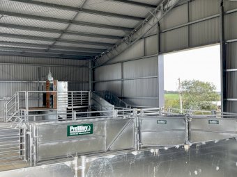 Proway Shearing Module