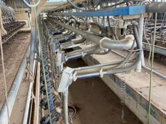 22 swingover dairy with Larsen stall gates