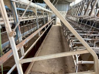 22 swingover dairy with Larsen stall gates