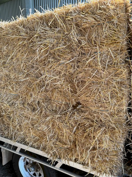 Wheaten Straw Small Squares in 21 Bale Barron Packs