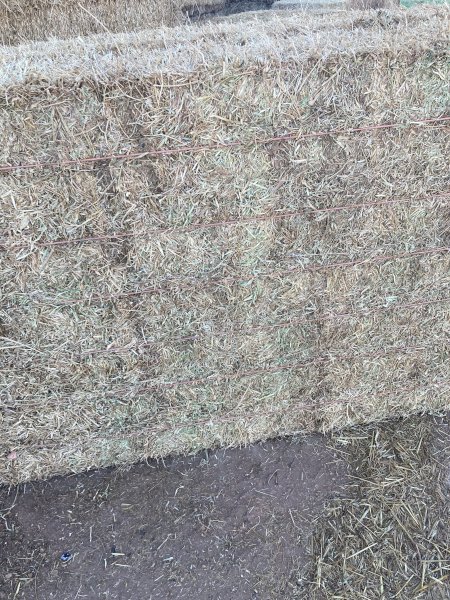 B-Double Load of Cavalier Medic Hay