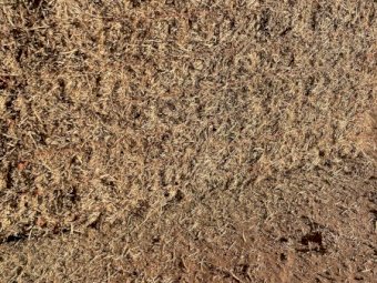 90 Bales Lucerne Hay