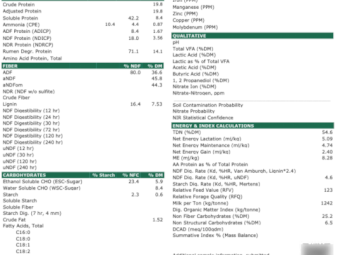 35mt Vetch Hay 590kg 8x4x3 Bales