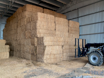 35mt Vetch Hay 590kg 8x4x3 Bales