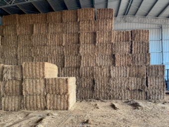 35mt Vetch Hay 590kg 8x4x3 Bales