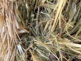 70mt Oaten Hay 8x4x3 Bales