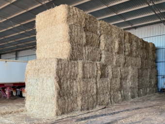 28mt Oaten Hay 680kg 8x4x3 Bales