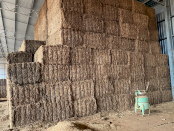 38mt Vetch Hay 635kg 8x4x3 Bales