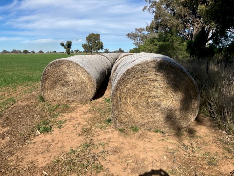 128mt Rye Grass & Vetch Hay Round Bales