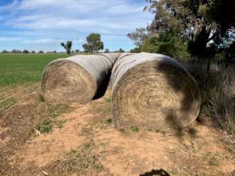 128mt Rye Grass & Vetch Hay Round Bales