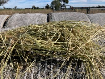 128mt Rye Grass & Vetch Hay Round Bales