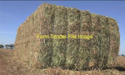 100MT Wheaten Hay 8X4X3 Large Square Bales