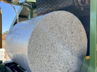 72mt Cotton Seed 720kg 5x4 Round Bales