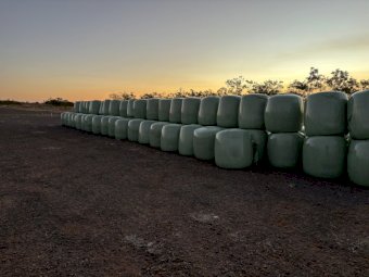 72mt Cotton Seed 720kg 5x4 Round Bales