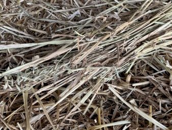 20mt Oaten Hay 8x4x3 Bales