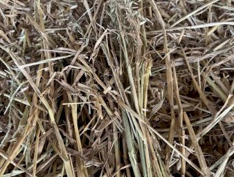 20mt Oaten Hay 8x4x3 Bales