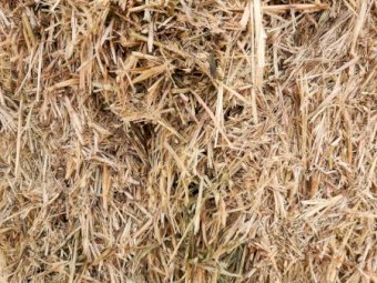 128mt Oaten Hay 640kg 8x4x3 Bales