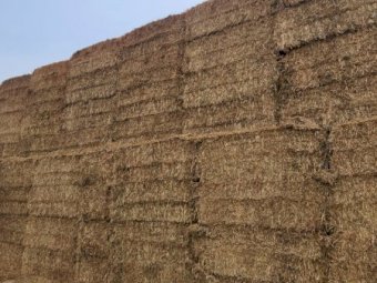 128mt Oaten Hay 640kg 8x4x3 Bales