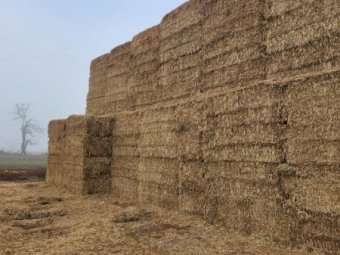 128mt Oaten Hay 640kg 8x4x3 Bales