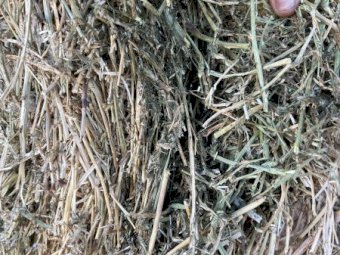 Large Round Rolls Lucerne 5 x 4.