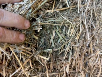 Large Round Rolls Lucerne 5 x 4.