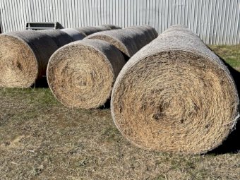 Large Round Rolls Lucerne 5 x 4.