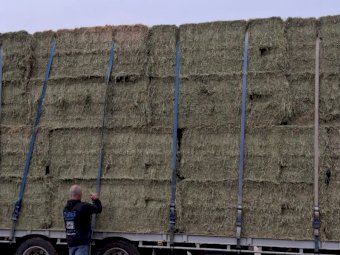 Very Good Quality Lucerne Hay.