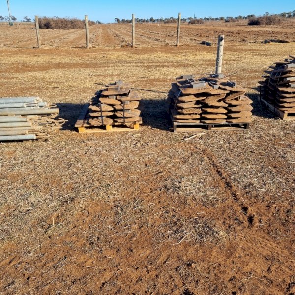  Secondhand treated pine posts plus steel strainers