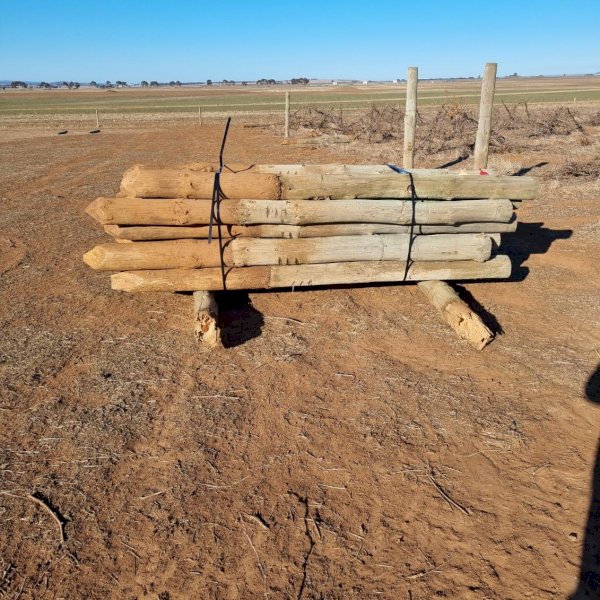 Various Secondhand treated pine posts plus steel strainers