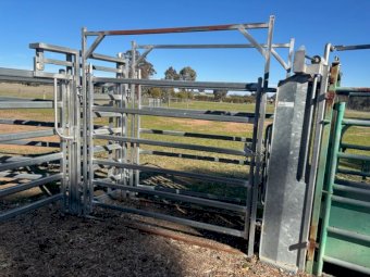 Cattle Yards With Ramp Panels And Crush