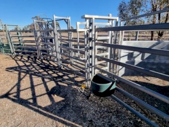 Cattle Yards With Ramp Panels And Crush