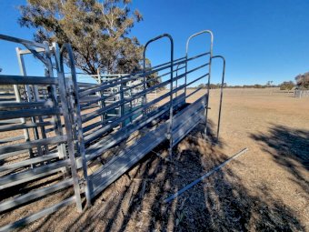 Cattle Yards With Ramp Panels And Crush