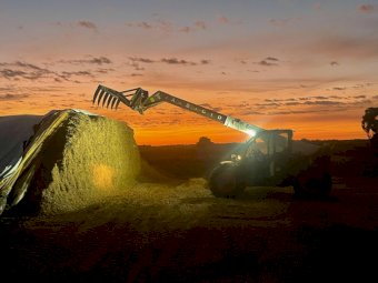 500 X Maize Silage 5X4 Round Bales