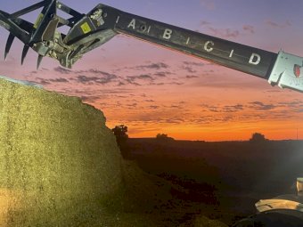 500 X Maize Silage 5X4 Round Bales